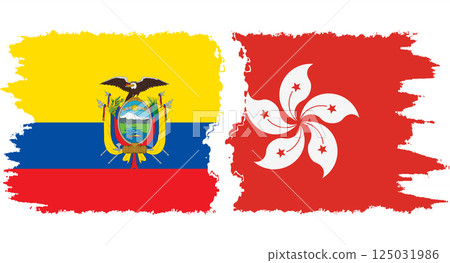 Hong Kong and Ecuador grunge flags connection vector 125031986