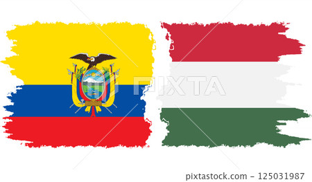 Hungary and Ecuador grunge flags connection vector 125031987