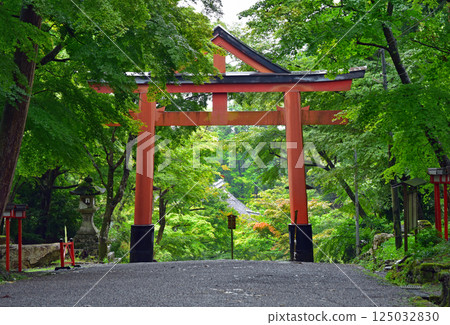綠樹環繞的山王鳥居 125032830