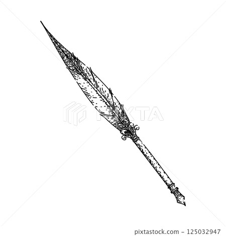 feather quill pen sketch hand drawn vector 125032947