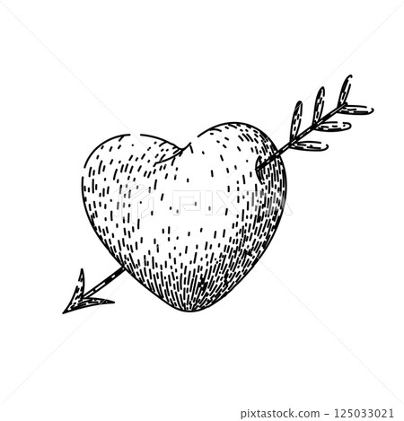 cardiovascular heart sketch hand drawn vector 125033021