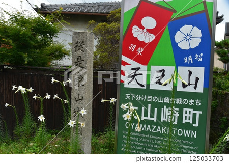 從這裡出發，就是東山城國。路標 從這裡開始, 東山城國, 霧島杜鵑, 霧島杜鵑, 霧島杜鵑 125033703