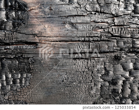 charred wooden surface, showing deep cracks, burned textures, and layers of blackened wood and charcoal background 125033854