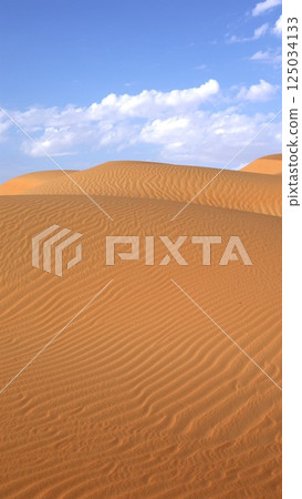 Wind-sculpted dunes rise under soft clouds as golden ridges ripple toward horizon, shaped by desert wind into graceful symmetry, pure silence surrounds iconic tourist attraction. 125034133