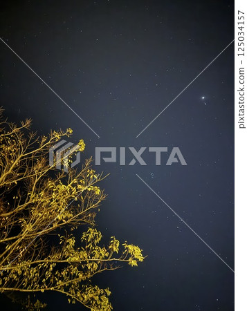 秋天的黃色樹葉和夜空繁星 秋天的黃色樹葉和夜空繁星 125034157