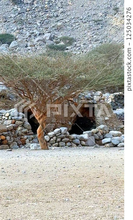 Rugged village with ancient caves carved into rocky hills. Stone walls stand against time, preserving cultural history. Remote landscape reveals heritage of early civilization. Keywords: Rugged village with ancient caves carved into rocky hills. Stone walls stand against time, preserving cultural history. Remote landscape reveals heritage of early civilization. Keywords: 125034276