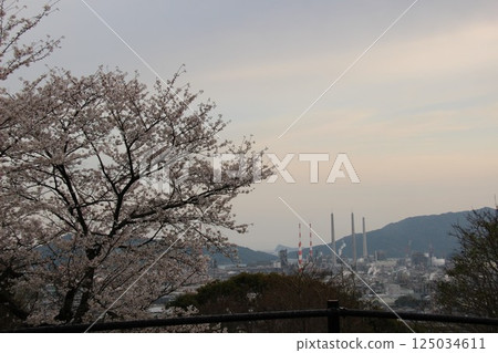 「煙囪鎮的櫻花！」山口縣旅遊 櫻花與周南石油化學聯合體 #CherryBlossoms 永續發展目標 全球環境 工廠污染 125034611