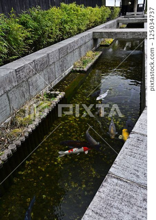 街道與白色的牆壁 街道與白色的牆壁 125034737