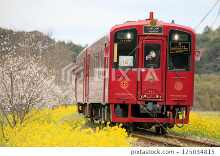 Spring scenery and the "Cottocoto Train" (Heisei Chikuho Railway) Spring scenery and the "Cottocoto Train" (Heisei Chikuho Railway) 125034815
