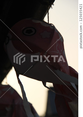 "Goldfish Lanterns" White-walled streetscape, Yamaguchi Prefecture Tourism, Yanai City 125035421