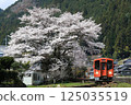 長良川鐵道深戶站櫻花 125035519