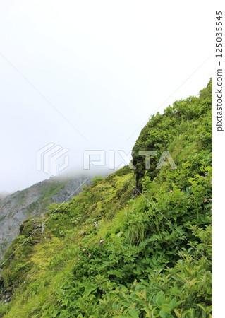 『登山』鳥取縣矢裡峰大山、「劍我峰」、山王峰、「保木大山南壁」、三之澤路線、初學者 125035545