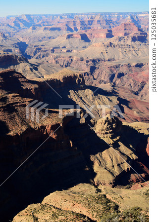 Grand Canyon Arizona Grand Canyon Arizona 125035681