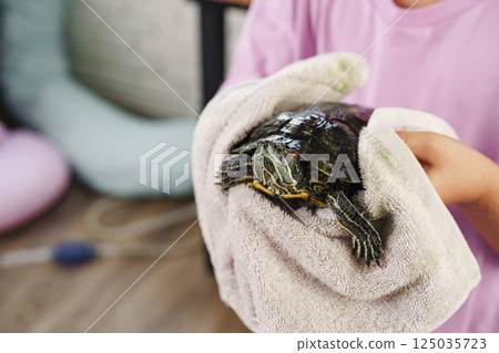 Child gently holds turtle wrapped in towel while indoors during daylight Child gently holds turtle wrapped in towel while indoors during daylight 125035723