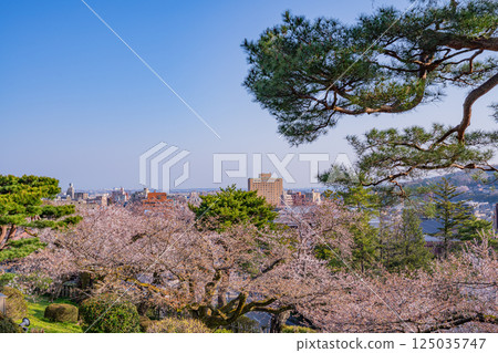 （石川縣）從兼六園眺望櫻花盛開的金澤市 125035747
