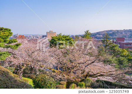 (Ishikawa Prefecture) The city of Kanazawa as seen from Kenrokuen Garden with its cherry blossoms in bloom 125035749