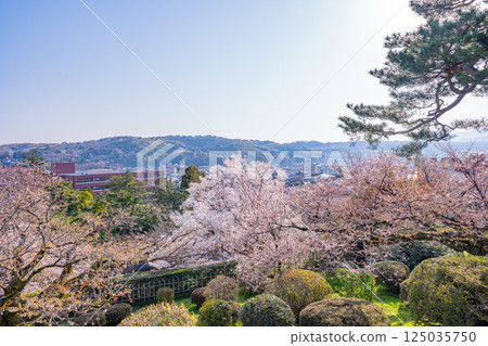 (Ishikawa Prefecture) The city of Kanazawa as seen from Kenrokuen Garden with its cherry blossoms in bloom 125035750