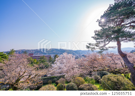 (Ishikawa Prefecture) The city of Kanazawa as seen from Kenrokuen Garden with its cherry blossoms in bloom (Ishikawa Prefecture) The city of Kanazawa as seen from Kenrokuen Garden with its cherry blossoms in bloom 125035751