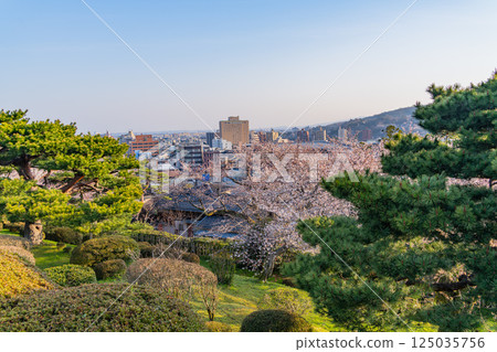 (石川縣)從兼六園眺望櫻花盛開的金澤市 (石川縣)從兼六園眺望櫻花盛開的金澤市 125035756