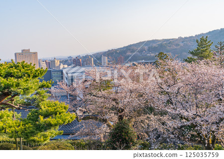 (Ishikawa Prefecture) The city of Kanazawa as seen from Kenrokuen Garden with its cherry blossoms in bloom (Ishikawa Prefecture) The city of Kanazawa as seen from Kenrokuen Garden with its cherry blossoms in bloom 125035759