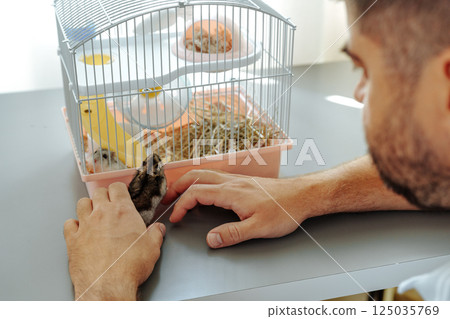 Man interacts with his pet rabbit in a cozy home environment during a sunny afternoon 125035769