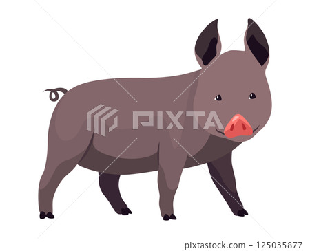 Pig set flat cartoon isolated on white background. Black pig vector illustration 125035877