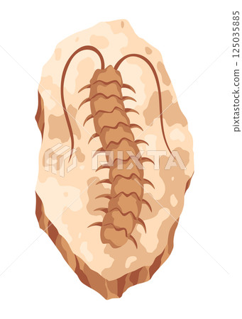 Dinosaur fossil skeleton bones, excavations of archeology isolated. Prehistoric reptile skeletons lying underground. Cartoon paleontological artifact 125035885