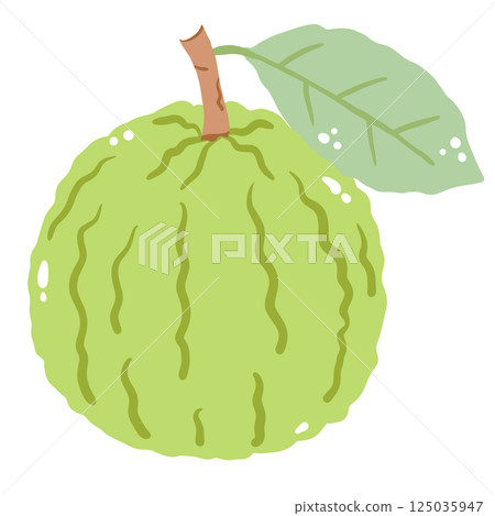 A guava hand drawn clean colorful illustration   perfect for summer fruit designs, market, dessert gifts, greeting cards, print, textile 125035947