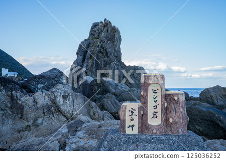 室戶岬樋ふちゃん岩的風景 室戶岬樋ふちゃん岩的風景 125036252