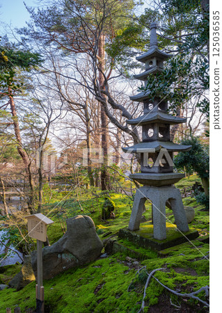 (石川縣)春天的兼六園~山崎山 (石川縣)春天的兼六園~山崎山 125036585
