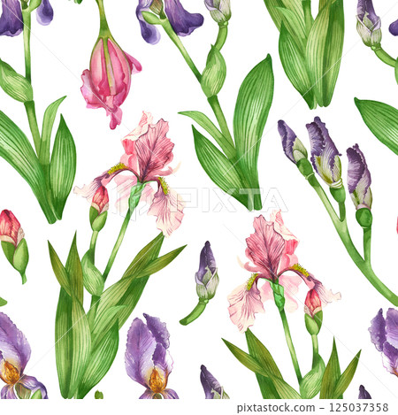 Pink and purple irises, flower buds, leaves, all objects are hand-drawn with watercolors. Watercolor seamless pattern. Suitable for printing on fabric, paper, home textiles. Pink and purple irises, flower buds, leaves, all objects are hand-drawn with watercolors. Watercolor seamless pattern. Suitable for printing on fabric, paper, home textiles. 125037358