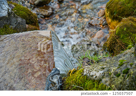 Photo of clear mountain water falling from a height from the edge of a rusty metal sheet, next to which the stones are overgrown with lichen and moss. Natural environment closeup 125037507