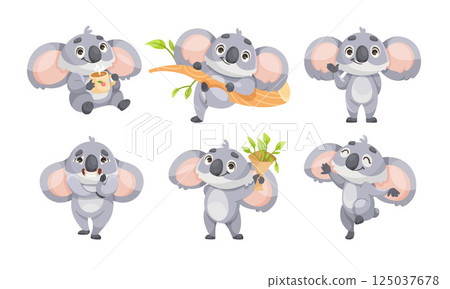 Cheerful Koala Animal with Large Ears and Pretty Snout Vector Set 125037678