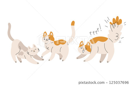 Funny Cat Domestic Pet with Pretty Snout Engaged in Different Activity Vector Set 125037696