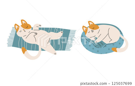 Funny Cat Domestic Pet with Pretty Snout Engaged in Different Activity Vector Set 125037699
