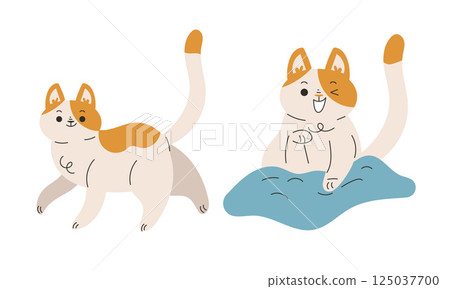 Funny Cat Domestic Pet with Pretty Snout Engaged in Different Activity Vector Set Funny Cat Domestic Pet with Pretty Snout Engaged in Different Activity Vector Set 125037700