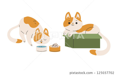 Funny Cat Domestic Pet with Pretty Snout Engaged in Different Activity Vector Set 125037702