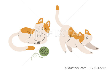 Funny Cat Domestic Pet with Pretty Snout Engaged in Different Activity Vector Set 125037703