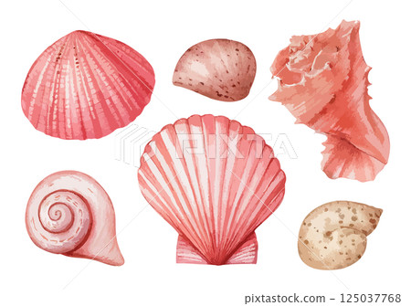 Beautiful seashells on the beach watercolor illustration AI generation 125037768