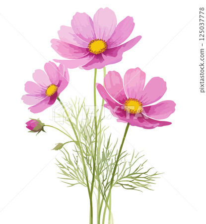 Cosmos watercolor illustration AI generation 125037778