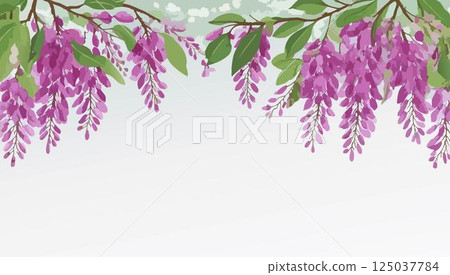 紫藤水彩插圖 - AI生成 125037784