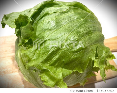 12個新鮮清爽的大生菜頭 125037802