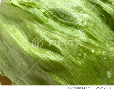 Fresh, crisp, large lettuce (enlarged) 14 125037804