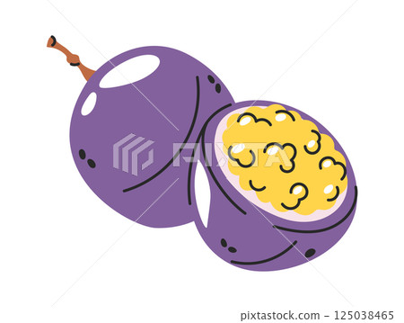 Hand drawn tropical mangosteen fruit Hand drawn tropical mangosteen fruit 125038465