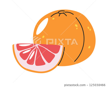 Hand drawn grapefruit citrus fruit 125038466