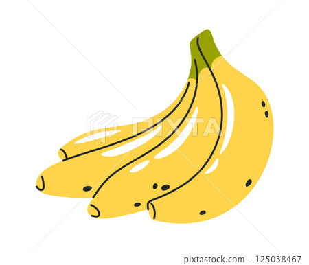 Hand drawn fruit banana bunch Hand drawn fruit banana bunch 125038467