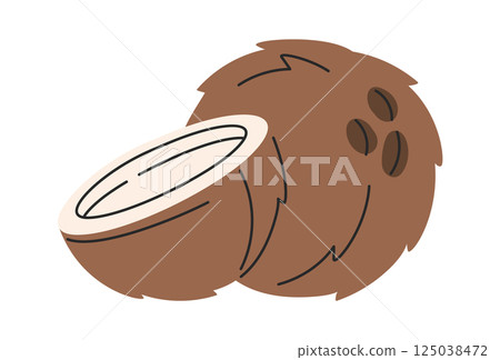 Hand drawn coconut exotic fruit Hand drawn coconut exotic fruit 125038472