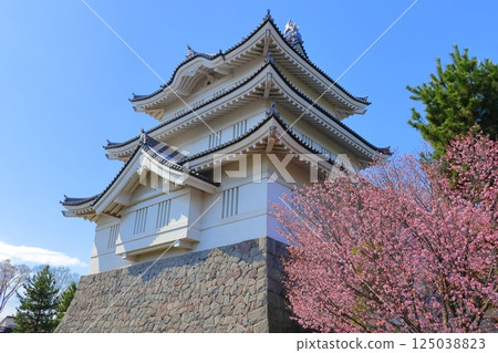 Oshijo, Saitama Prefecture ~A castle tower decorated with cherry blossoms in full bloom~ 125038823