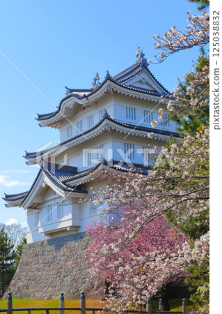 Oshijo, Saitama Prefecture ~A castle tower decorated with cherry blossoms in full bloom~ 125038832