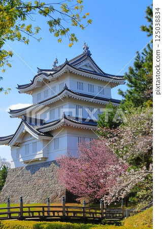 Oshijo, Saitama Prefecture ~A castle tower decorated with cherry blossoms in full bloom~ Oshijo, Saitama Prefecture ~A castle tower decorated with cherry blossoms in full bloom~ 125038834